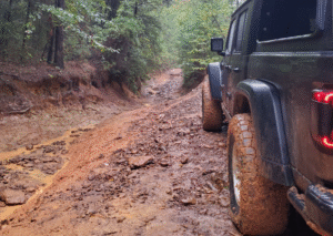 jeep-bottom